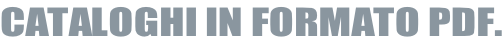 CATALOGHI IN FORMATO PDF.